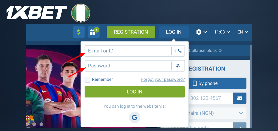 Enter the login details